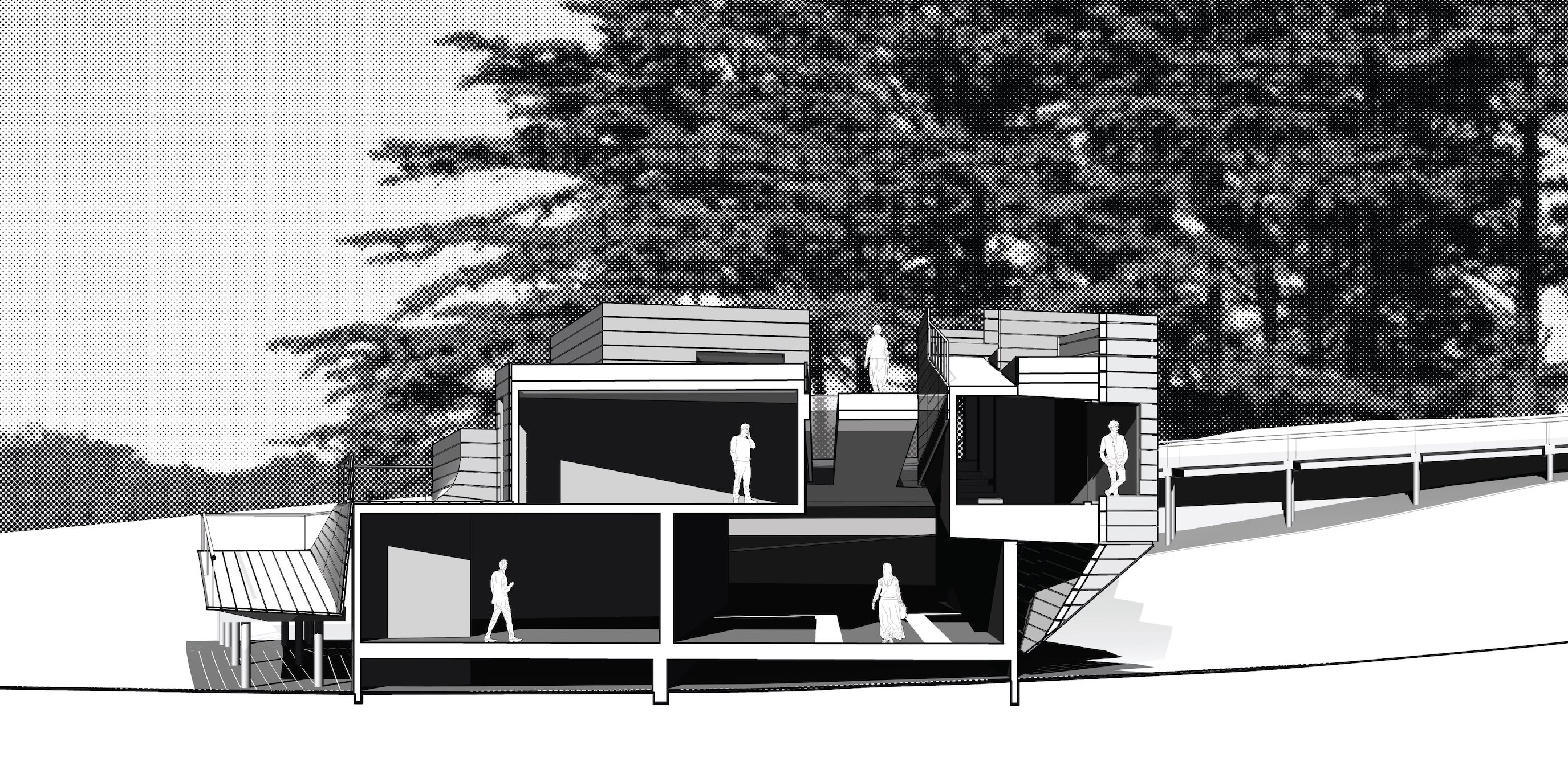 architectural cross section drawing