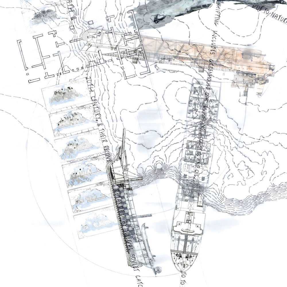 mylar hybrid collage drawing