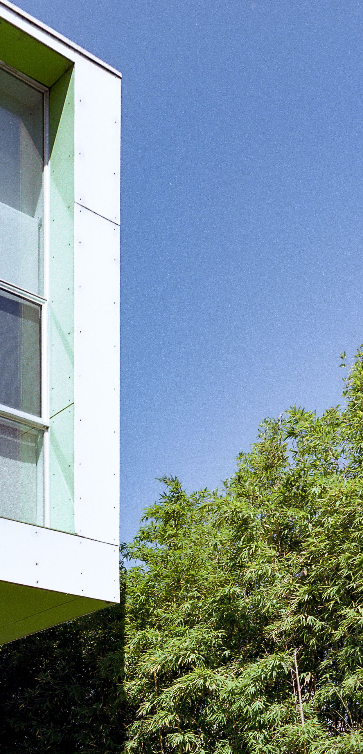 corner of green cantilever building with windows above bushes, 35mm film