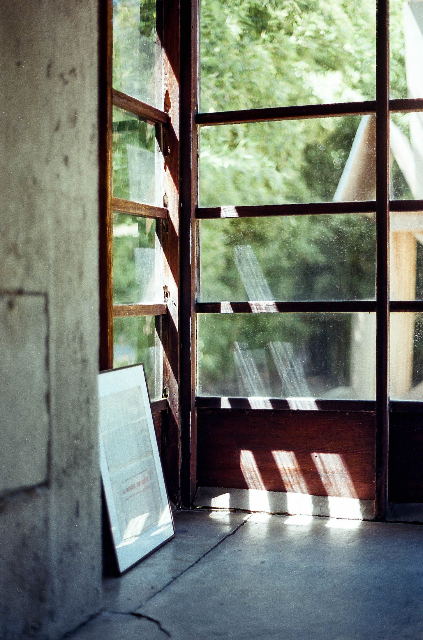 painting leaning against windows in sunlight at schindler house los angeles, 35mm film