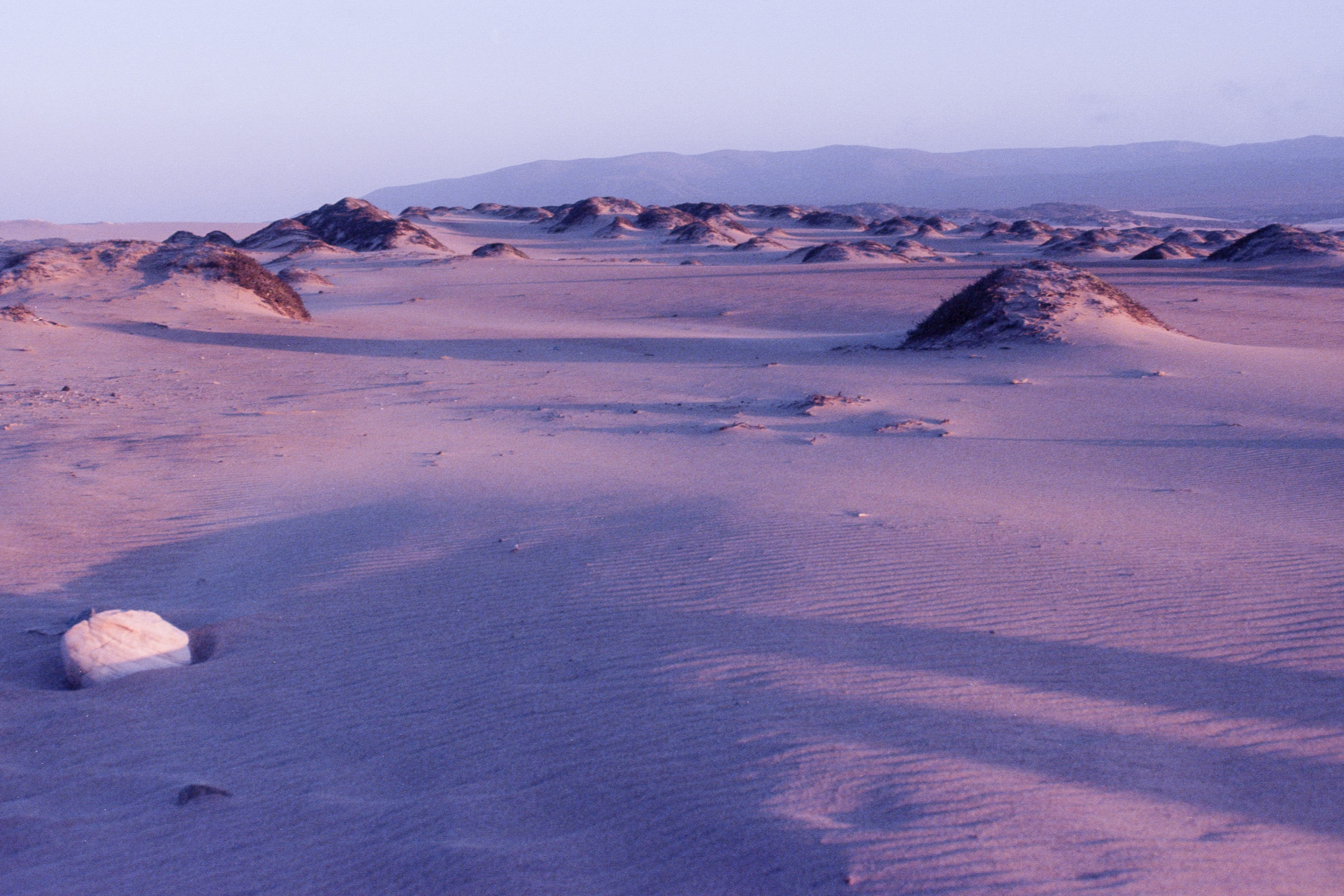 windswept dunes at guadalupe state beach during sunset, 35mm film