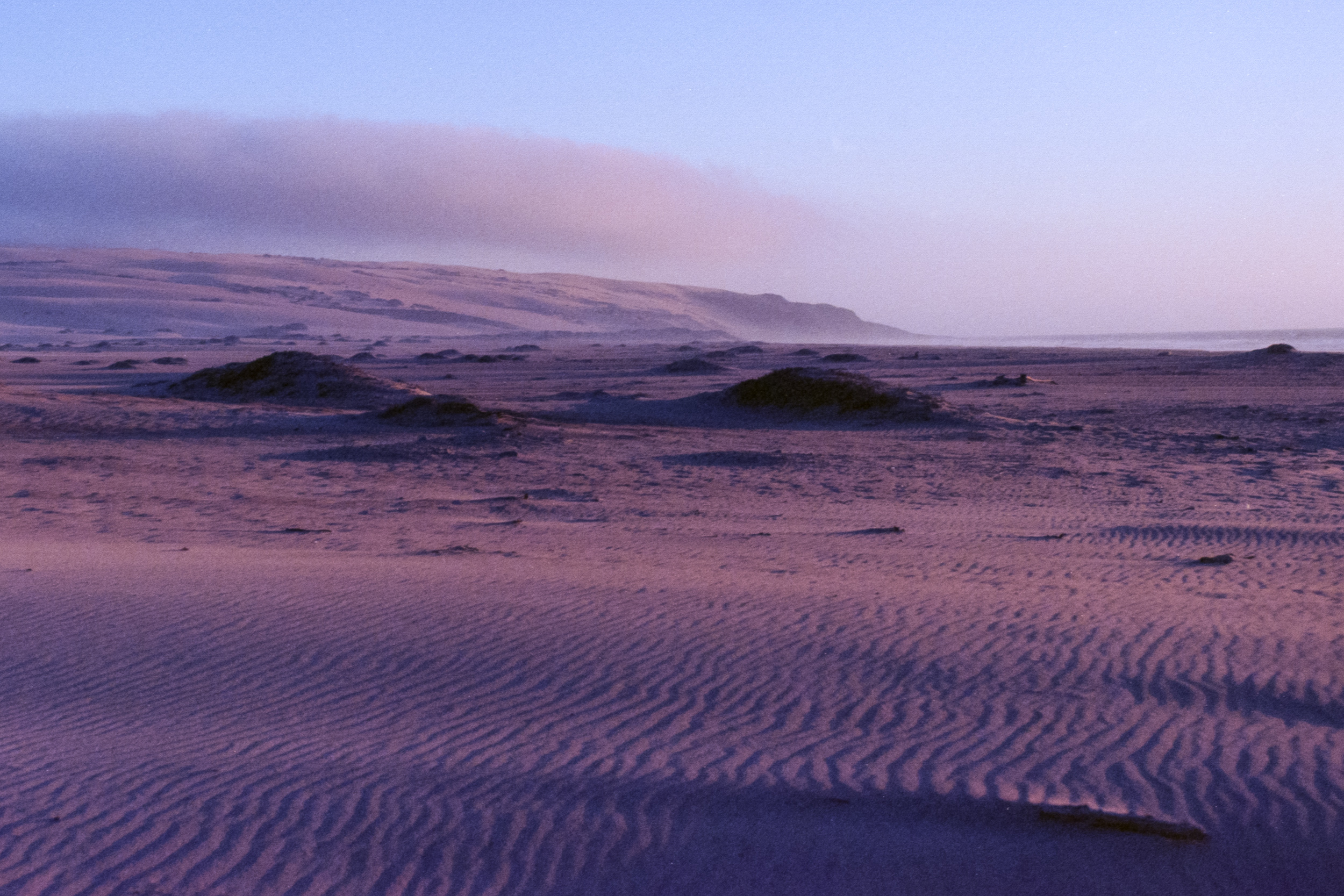 windswept dunes at guadalupe state beach during sunset, 35mm film
