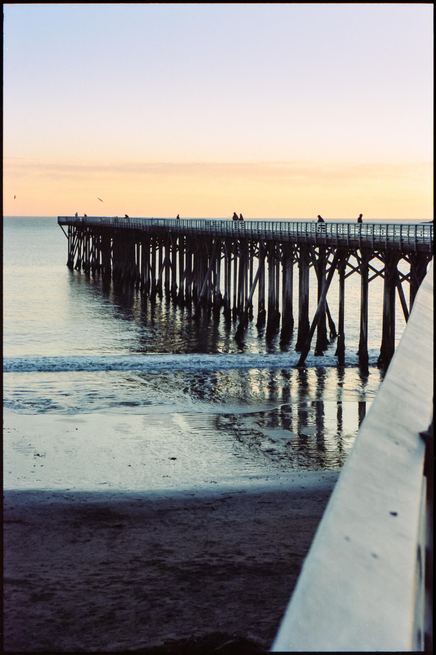 people walking on hearst state beach pier boardwwalk at sunset with birds overhead, california coast, 35mm film