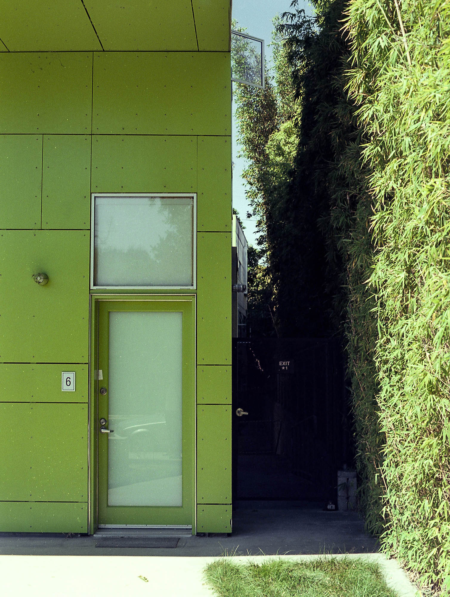 green building corner with glass door next to shaded side path betwen thick bushes, 35mm film