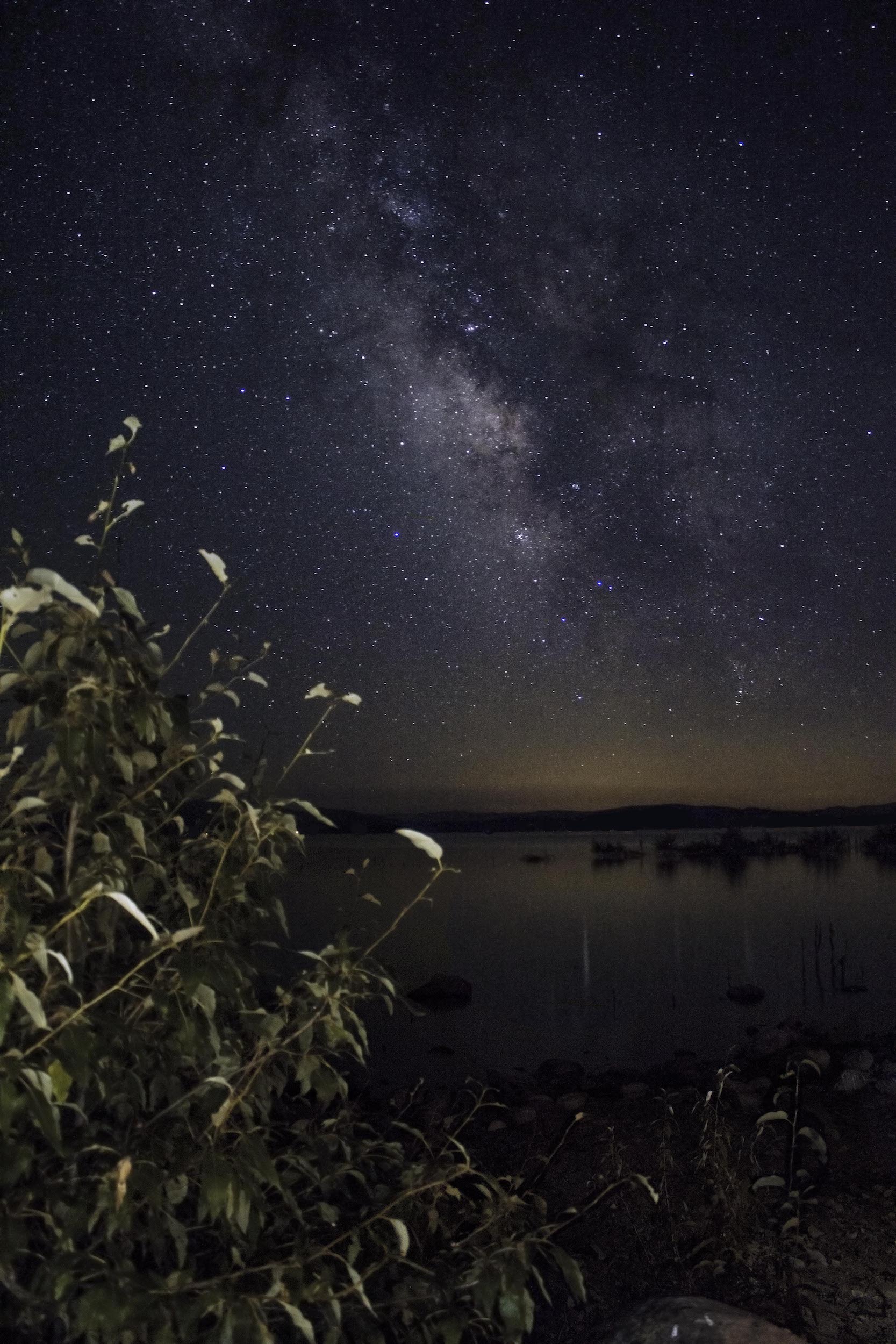 milky way in night sky above lake almanor california