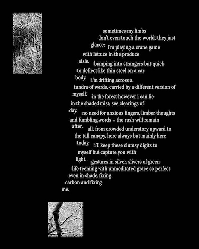 Click to enlarge.