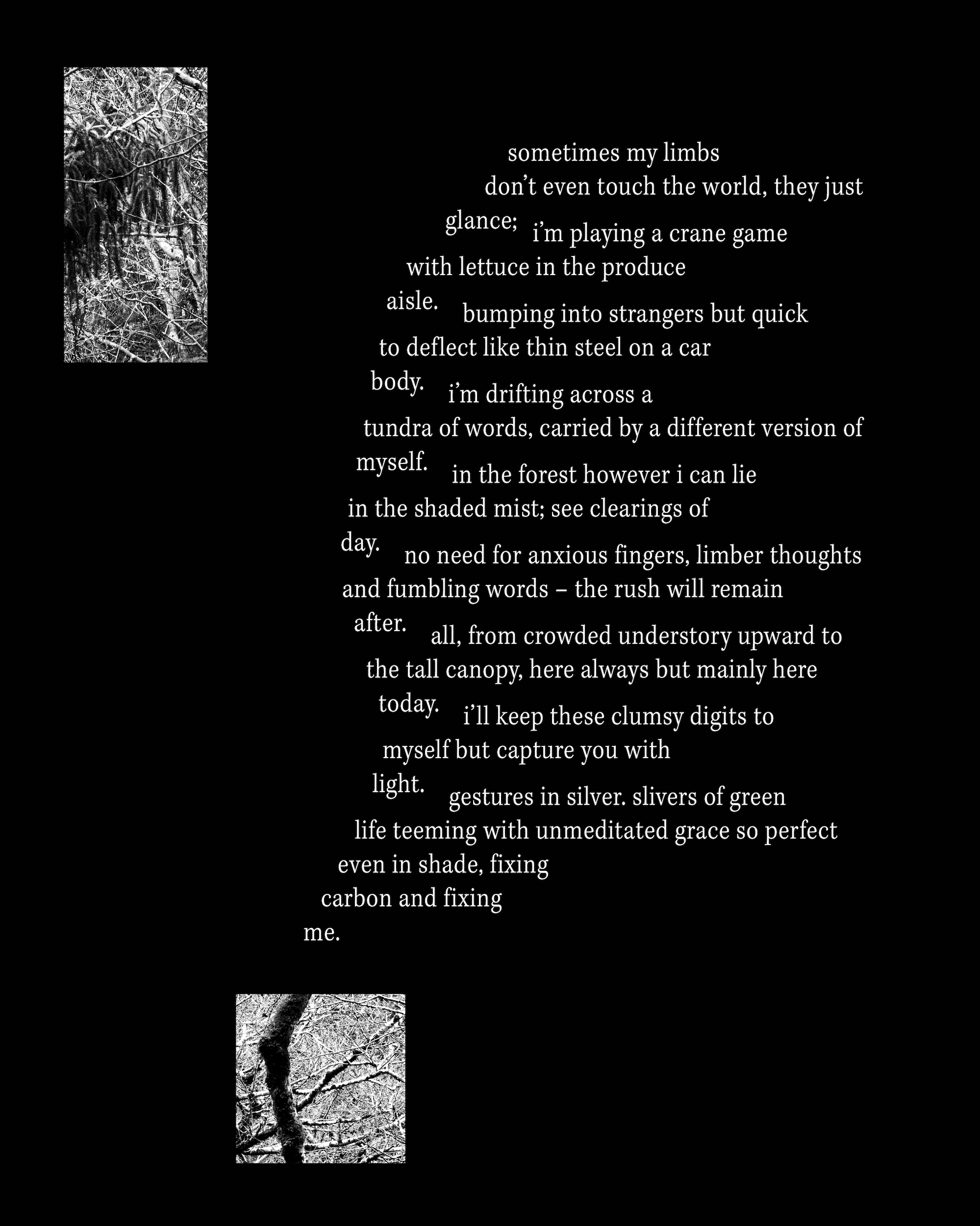 geometric poem in the shape of a windswept tree branch