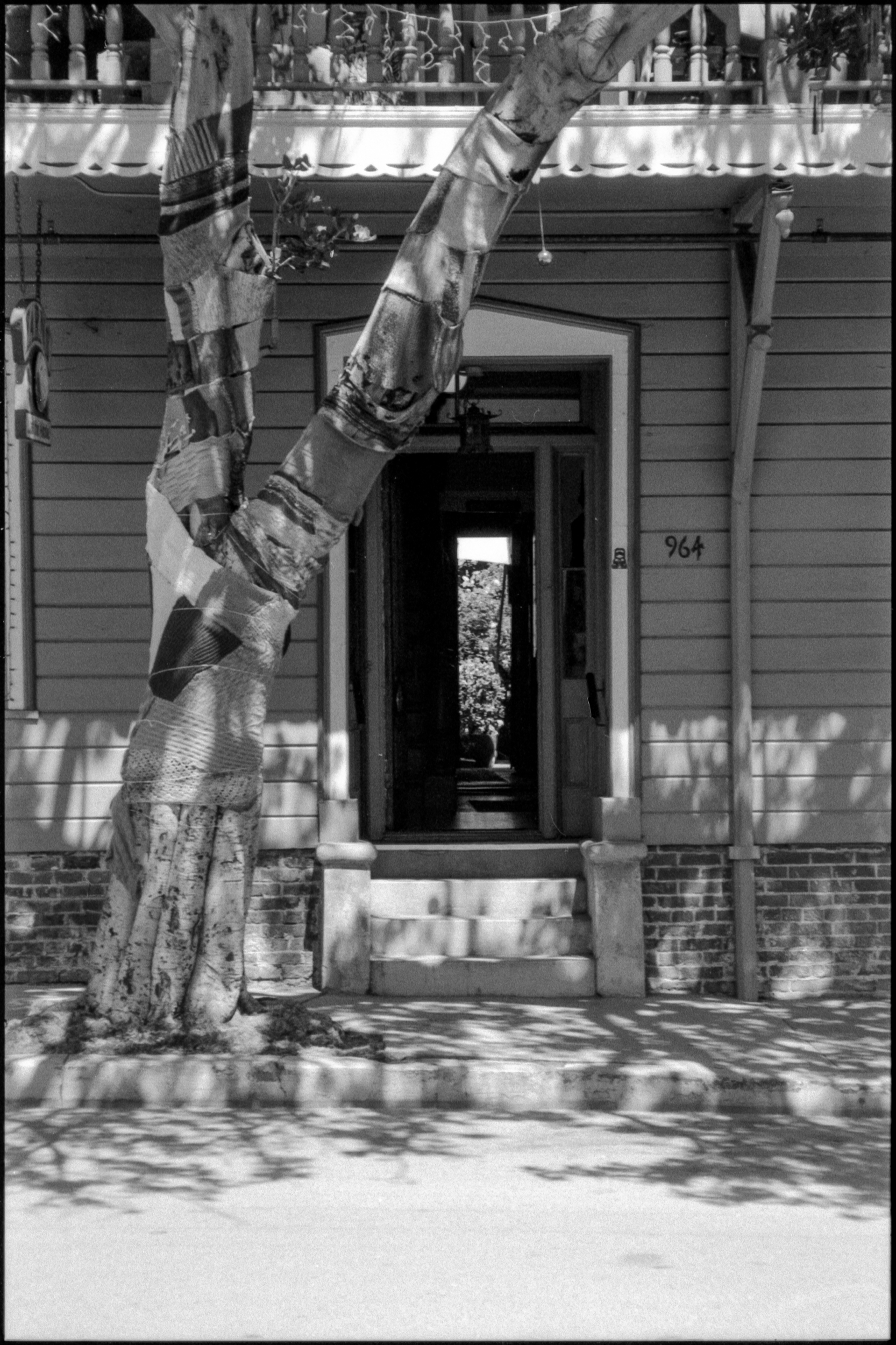 open front door leading to a planted backyard on a shady suburban san luis obispo street, with a fabric-wrapped tree in foreground