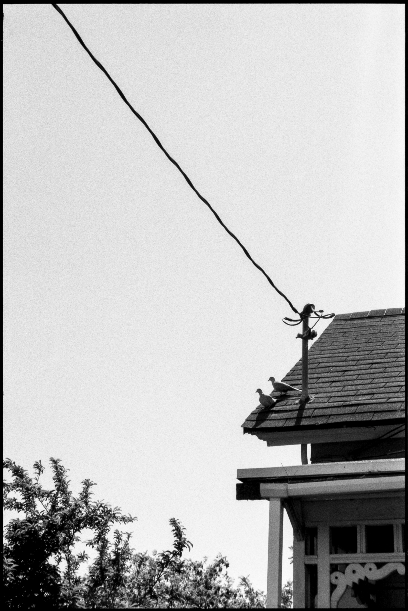 two birds sitting on a shingle roof near an power line connection from the street