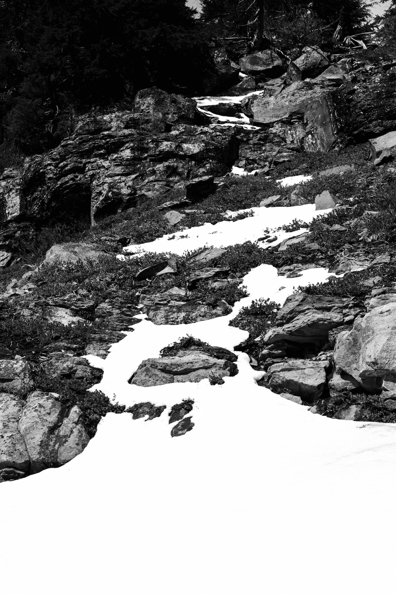 high contrast black and white photo of snow patches on a rocky wooded hillside