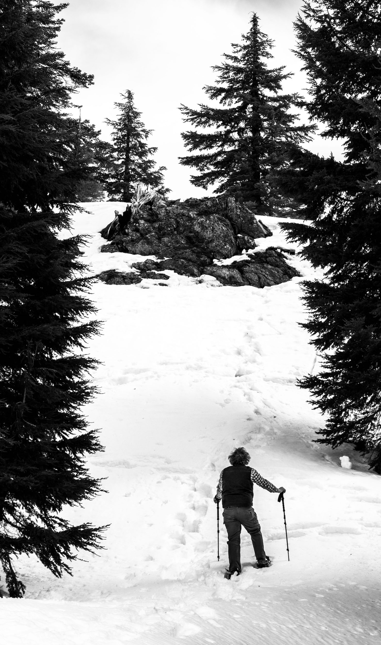 high contrast black and white photo of an older man with walking sticks staring up a snowy hillside between evergreen trees