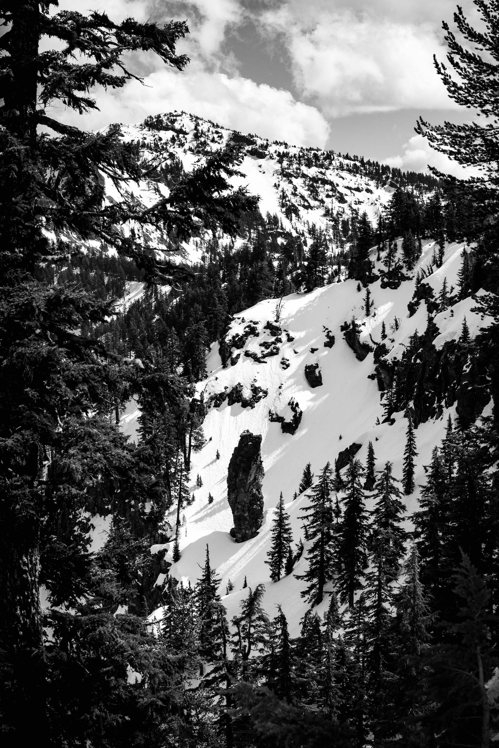 high contrast black and white photo of a wooded snowy hillside at crater lake national park