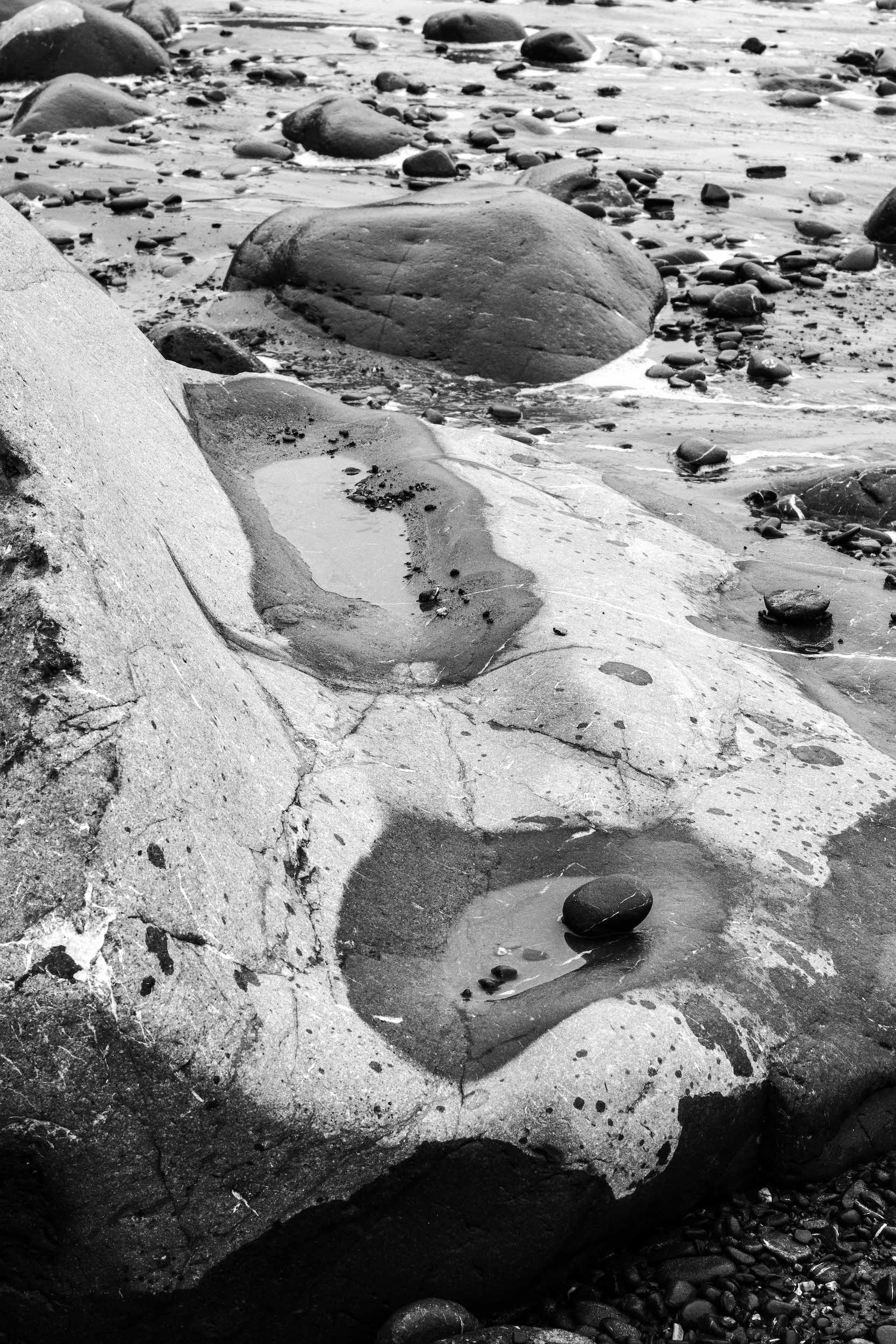 high contrast black and white photo of scattereed rounded rocks on a beach