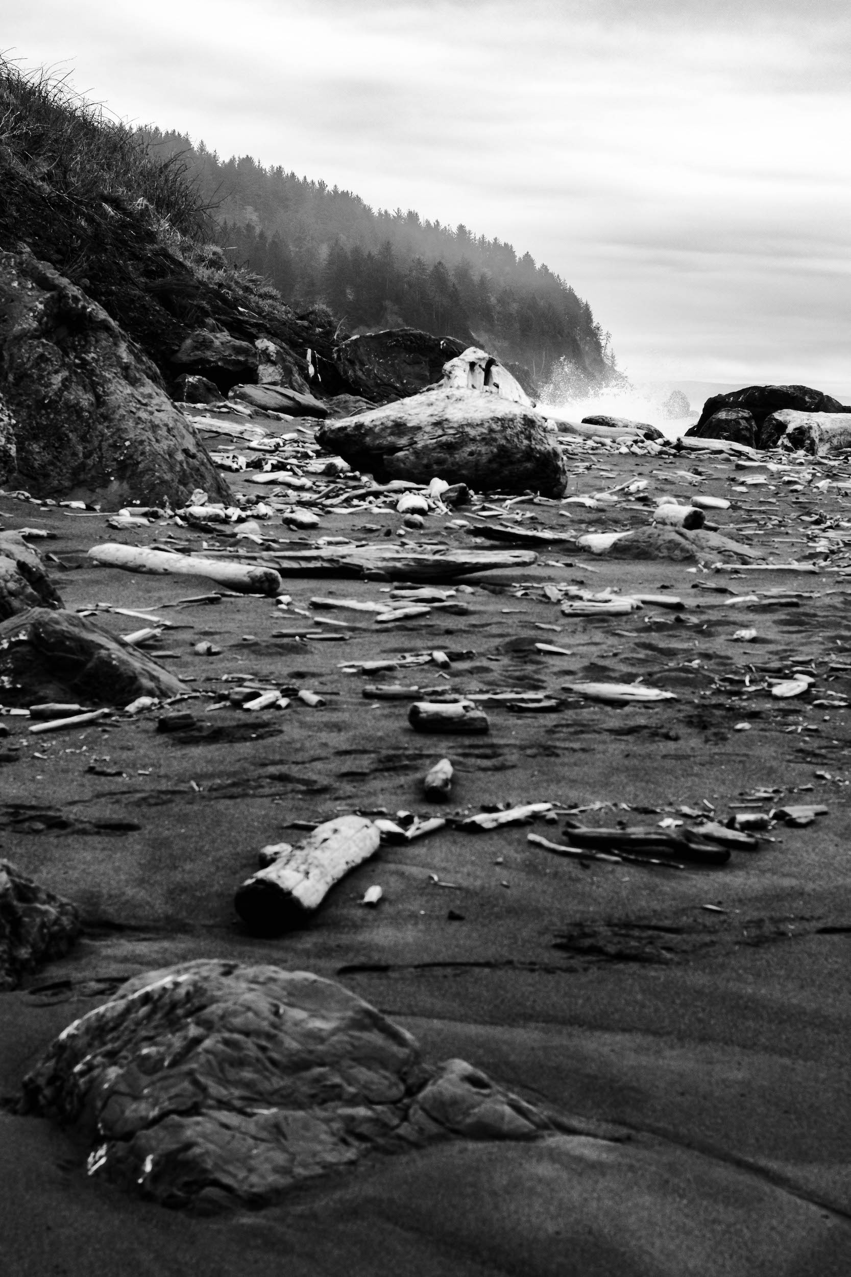 high contrast black and white photo of scattered driftwood and rocks on a foggy beach with evergreen trees visible on a peninsula in the distance in northern california