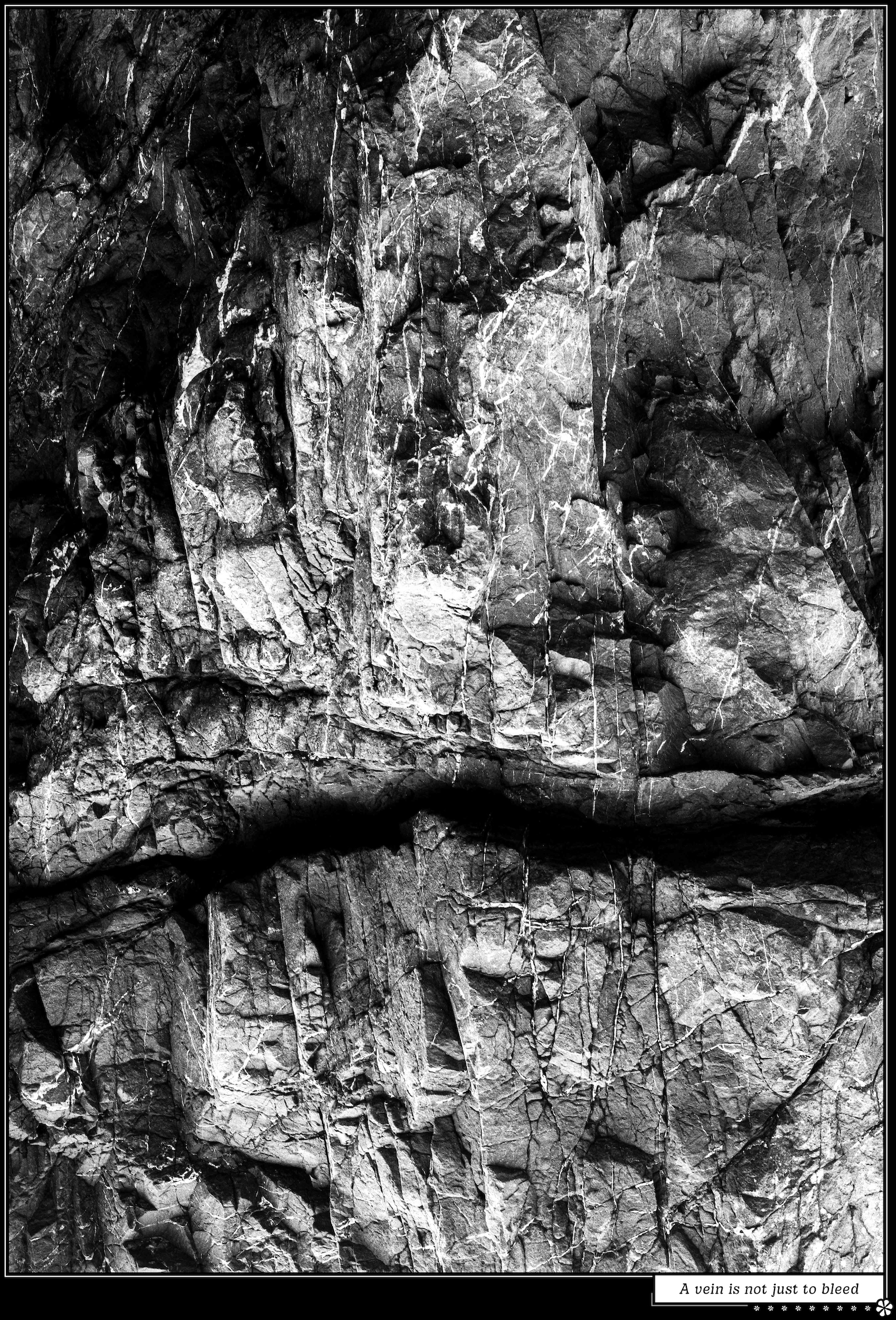 high contrast black and white photo of a faceted sharp igneous rock with veins of white embedded material