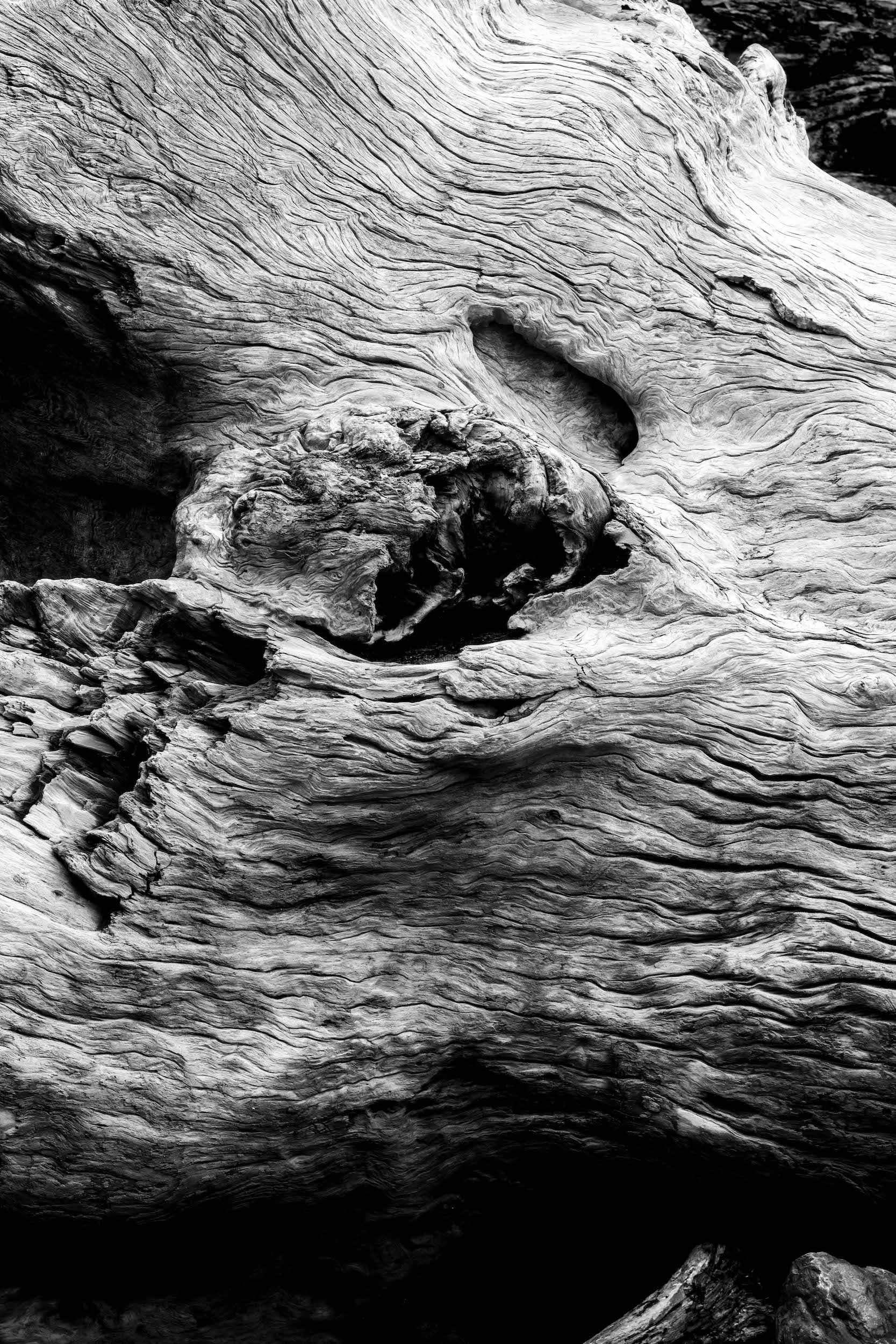 high contrast black and white photo of swirling driftwood patterns with cracked burls