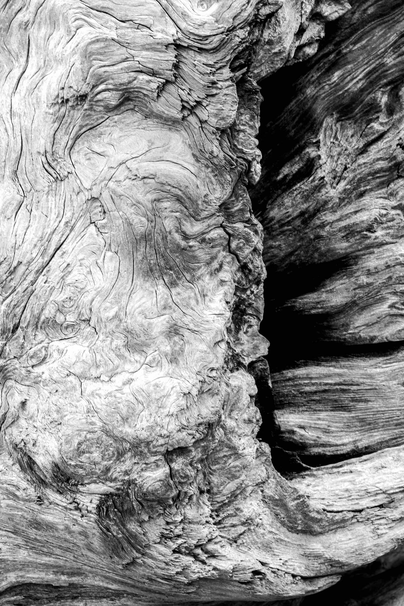 high contrast black and white photo of swirling driftwood patterns with a dark crevice