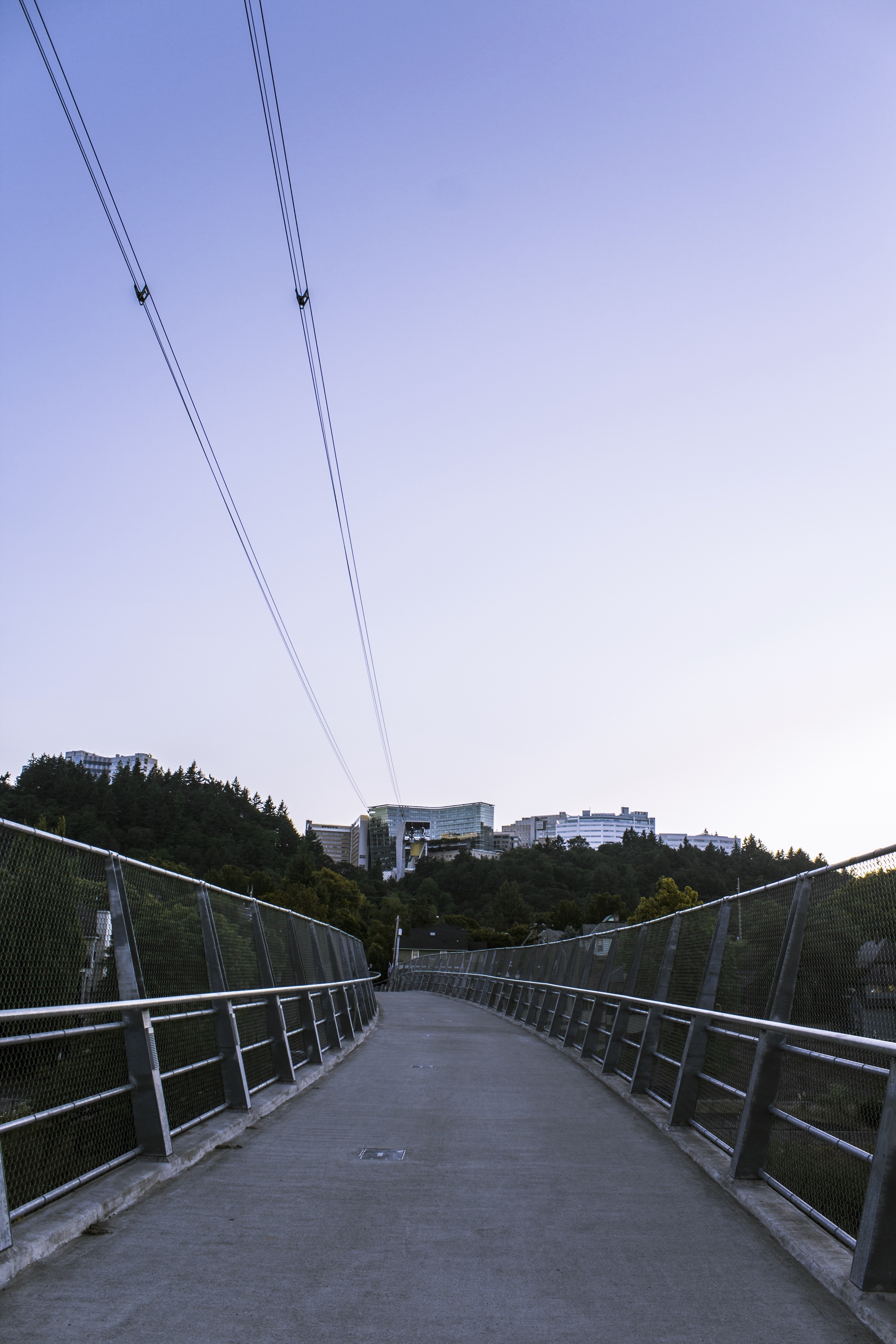 gibbs street pedestrian bridge in portland oregon at twilight